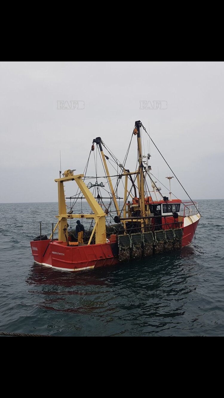 Large picture for advert 116996