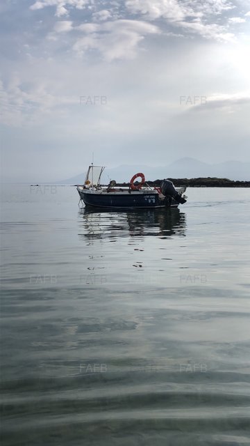 Large picture for advert 105296