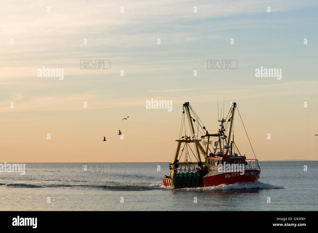 Large picture for advert 116996