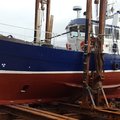 Extra picture for advert 100046