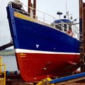 Extra picture for advert 100046