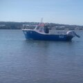 Extra picture for advert 113446